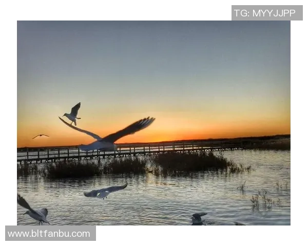 滑板人生的深度对话:陈伟与梦想的追逐与坚持 滑板人生的深度对话:陈伟与梦想的追逐与坚持